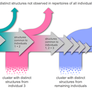 Figure 2 from 'Evidence of Antibody Repertoire Functional Convergence through Public Baseline and Shared Response Structures', 2020.<br><br>Caption: Structural overlap analysis. Datasets are arranged in order of their internal structural diversity (most diverse first). Distinct baseline structures from individual 1 are clustered sequentially with all other repertoire snapshots. Distinct structures present in every tested dataset are classed as ‘public structures’, whereas those that are absent in at least one individual are termed ‘private structures’.